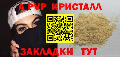стафф Гай