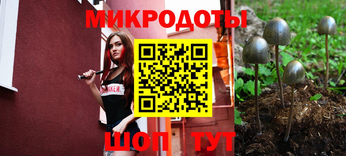 Лобня  Псилоцибиновые грибы Cubensis  Вход с VPN 